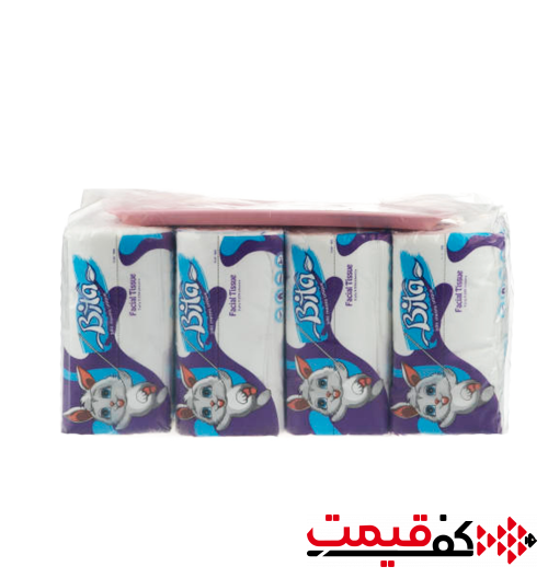 دستمال-کاغذی-نایلونی-بی-تا-250-برگ-2لا-8-عددی